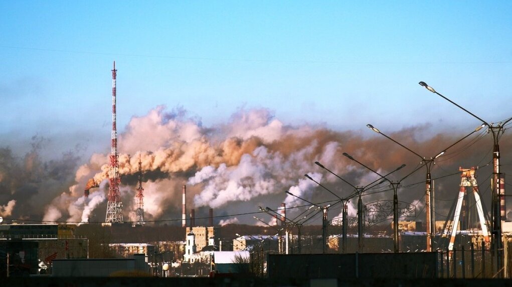 фото из открытых источников