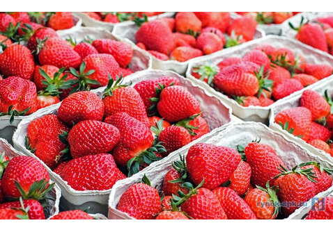 фото из открытых источников