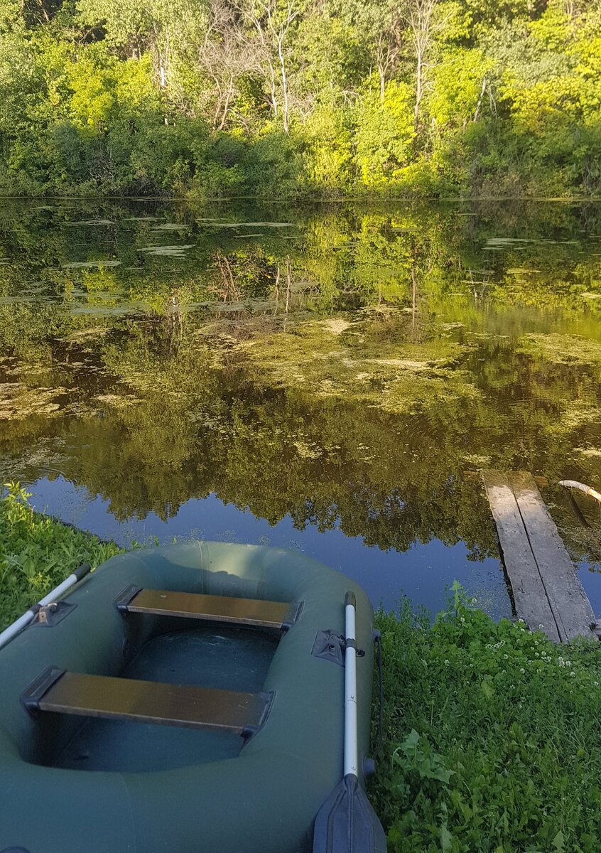 Скорее на воду