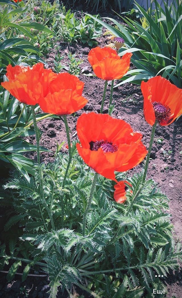 фото из личного архива 