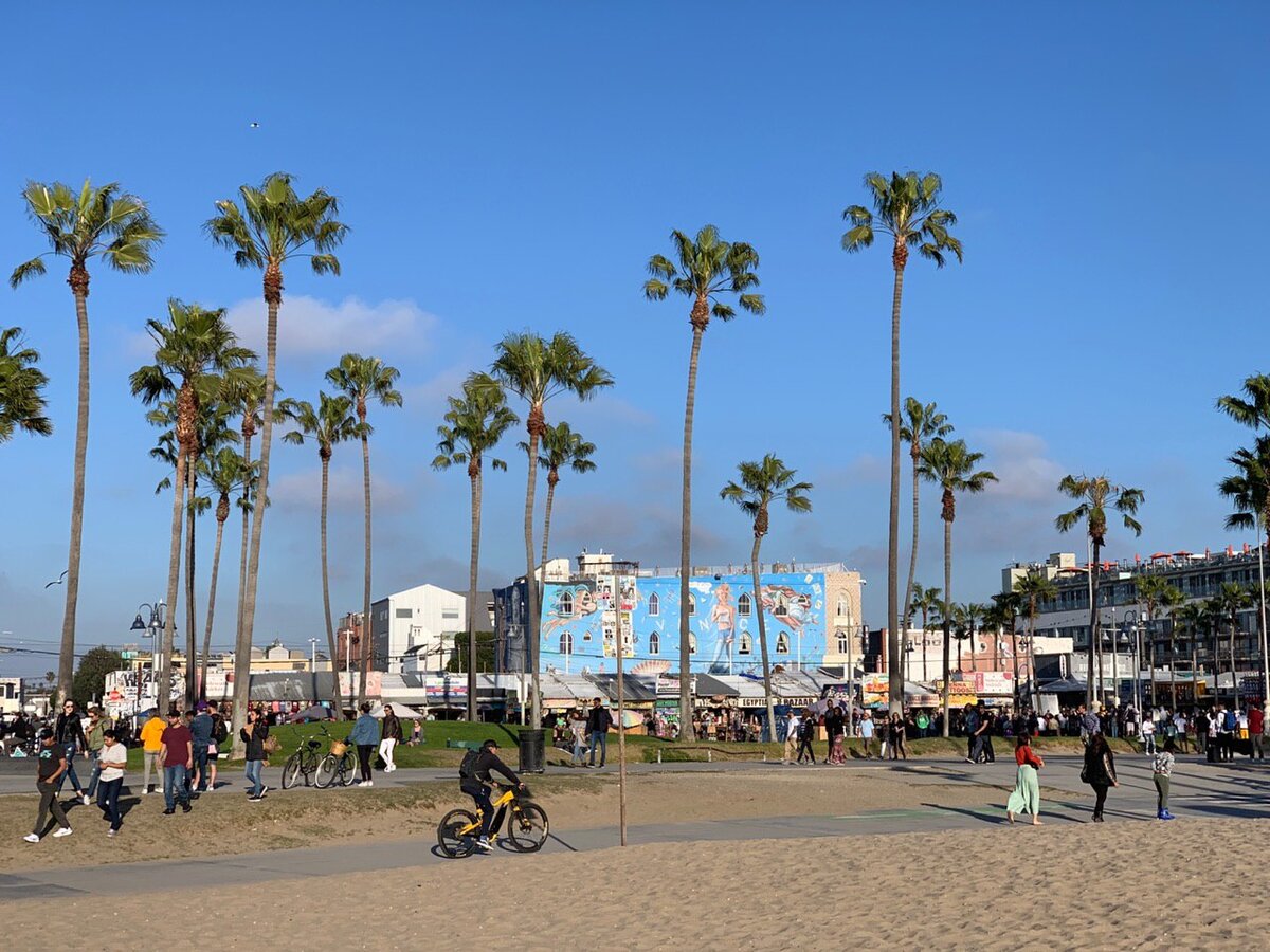 Venice Beach, Los Angeles. Начало 2020 года. Фото автора канала