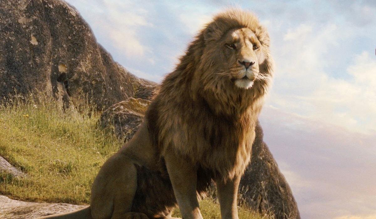 Лев из хроников нарнии. Аслан из хроник нарнии. Аслан нарния. Лев аслан хроники нарнии. Принц аслан хроники нарнии.