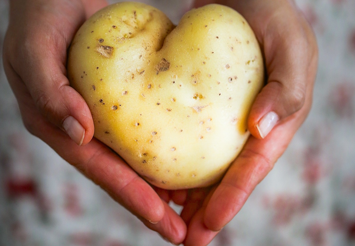 Фото: unsplash.com