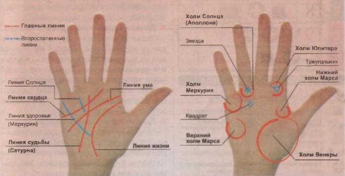 Хиромантия: значение линий на руке, расшифровка с фото