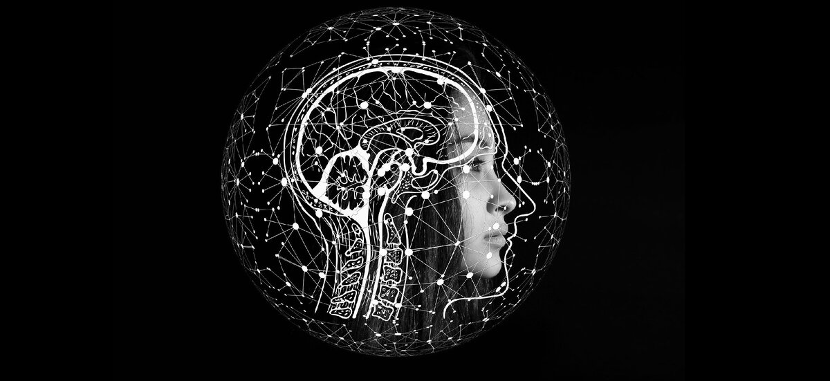 Изображение с сайта https://pixabay.com