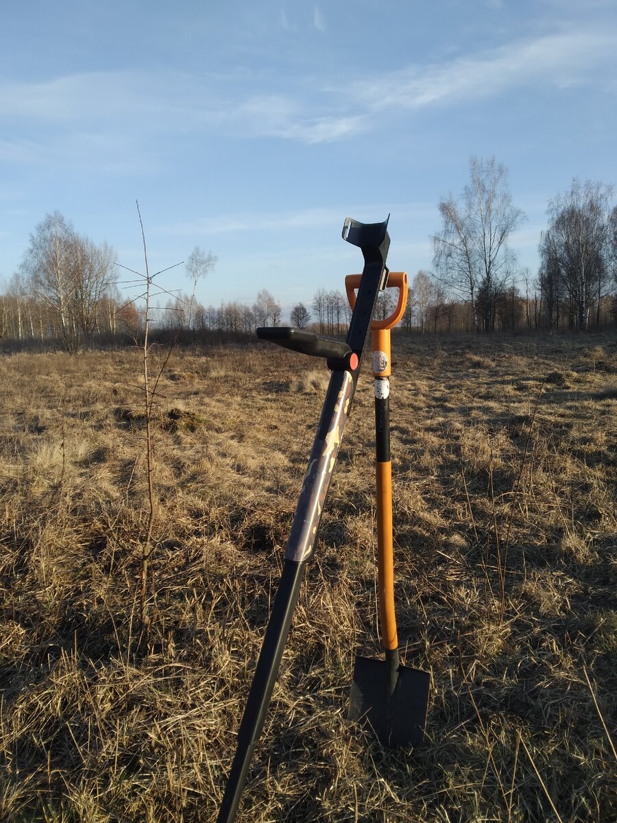 Вот такая местность, кажется нет никаких следов фермы, но это не так.