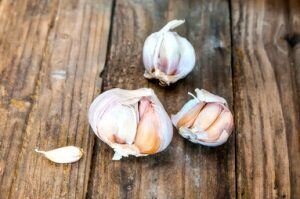 Исследования на животных показывают, что чеснок может значительно повысить уровень тестостерона , который является необходимым гормоном для либидо и эректильной способности . Еще одно преимущество, наблюдаемое в исследованиях с чесноком, - это уменьшение воспаления, снижение артериального давления и увеличение выхода оксида азота .