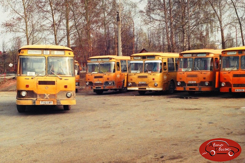 Автобусы 80 х годов фото ссср