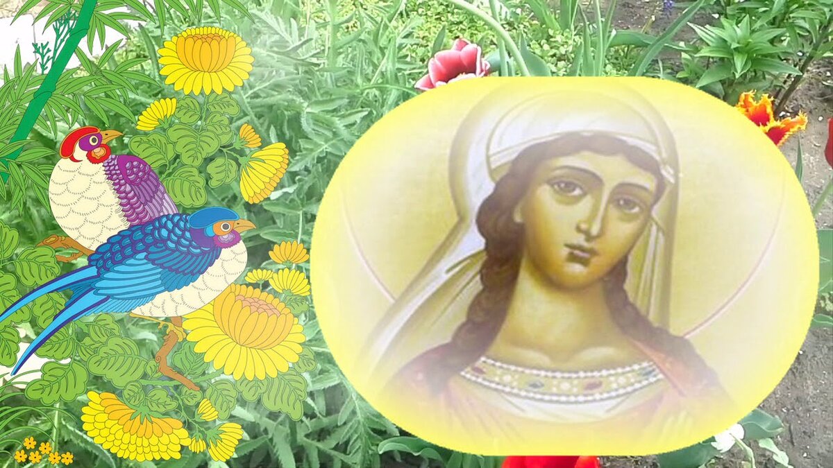 Из открытых источников