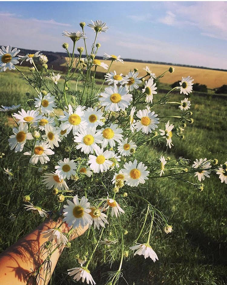 Воронежская область