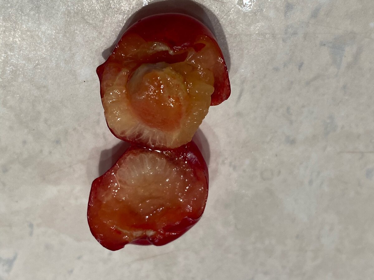 Разломила ягоду, червей нет, от косточки отделяется с трудом