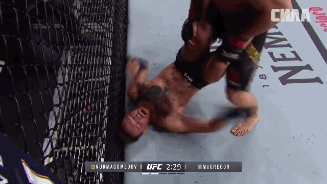 Фото с канала Ютуб /ссылка на канал ниже/