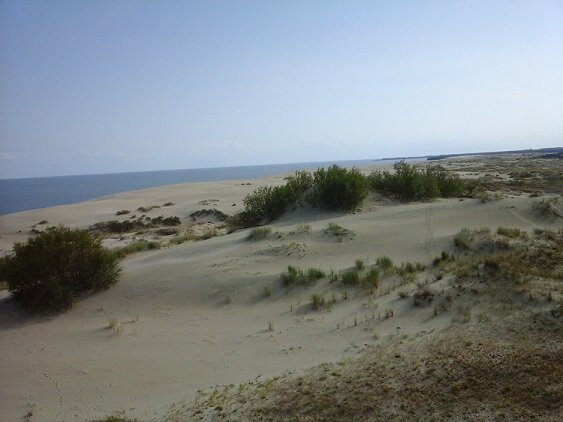 Куршская коса