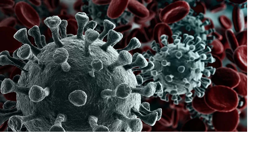 Кто создатель?