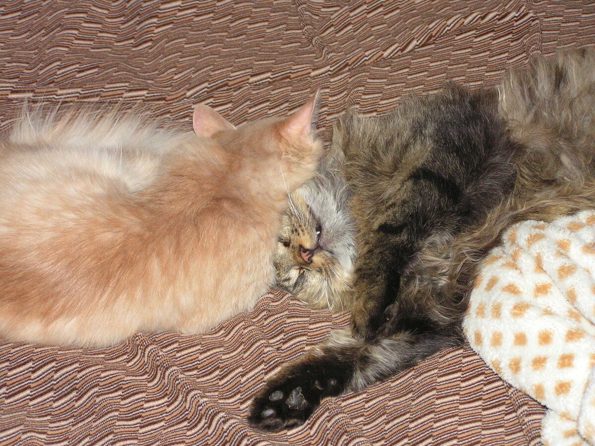 фото  из архива автора