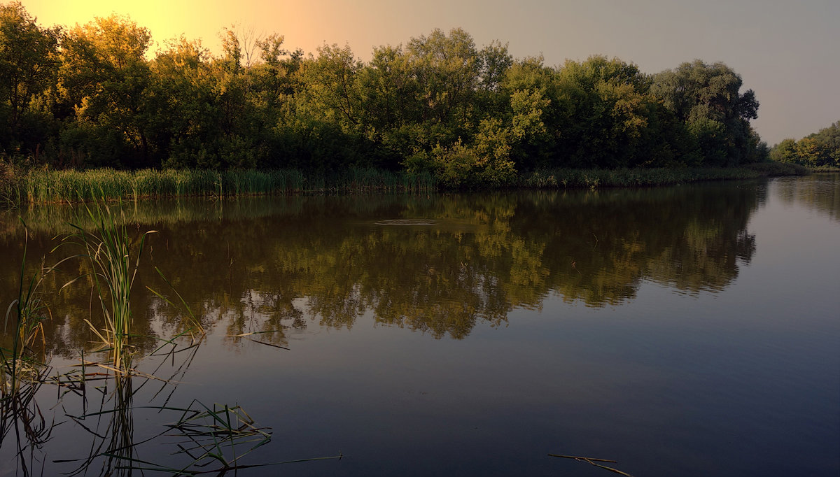 Изображение взято из открытого источника