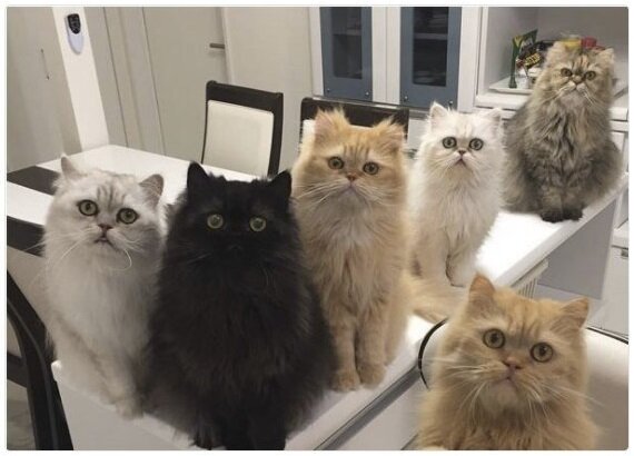 - Мы тут, Наташ!