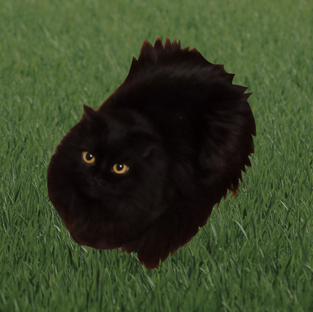 Мой котофан