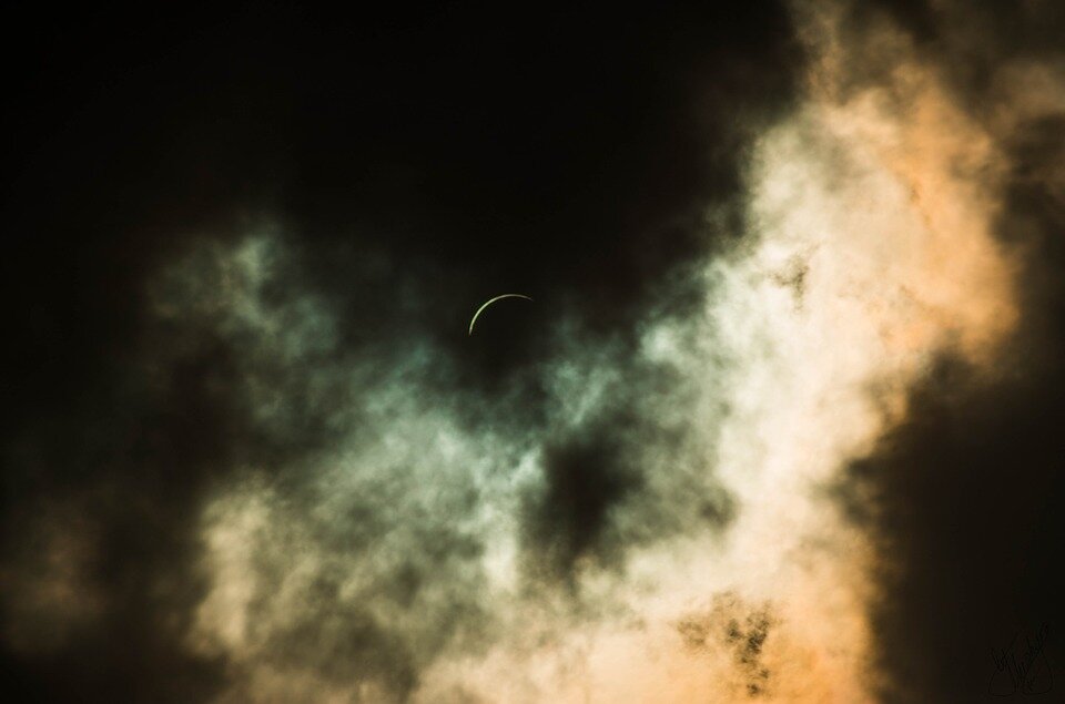 Фото: https://pixabay.com/