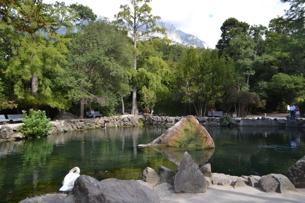 «Лебединое» озеро в Верхней части парка «Алупкинский»