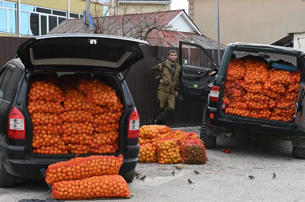 Мандарины автобус