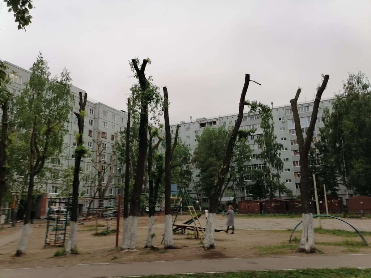 Гордые обрубки устремили свой взор в небесную бесконечность..