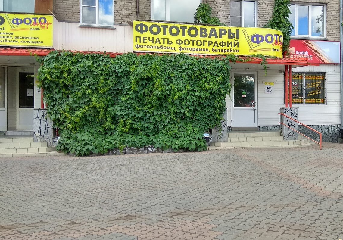 Фотоателье, куда я обращался в процессе этой истории, и задолго до этой истории тоже.