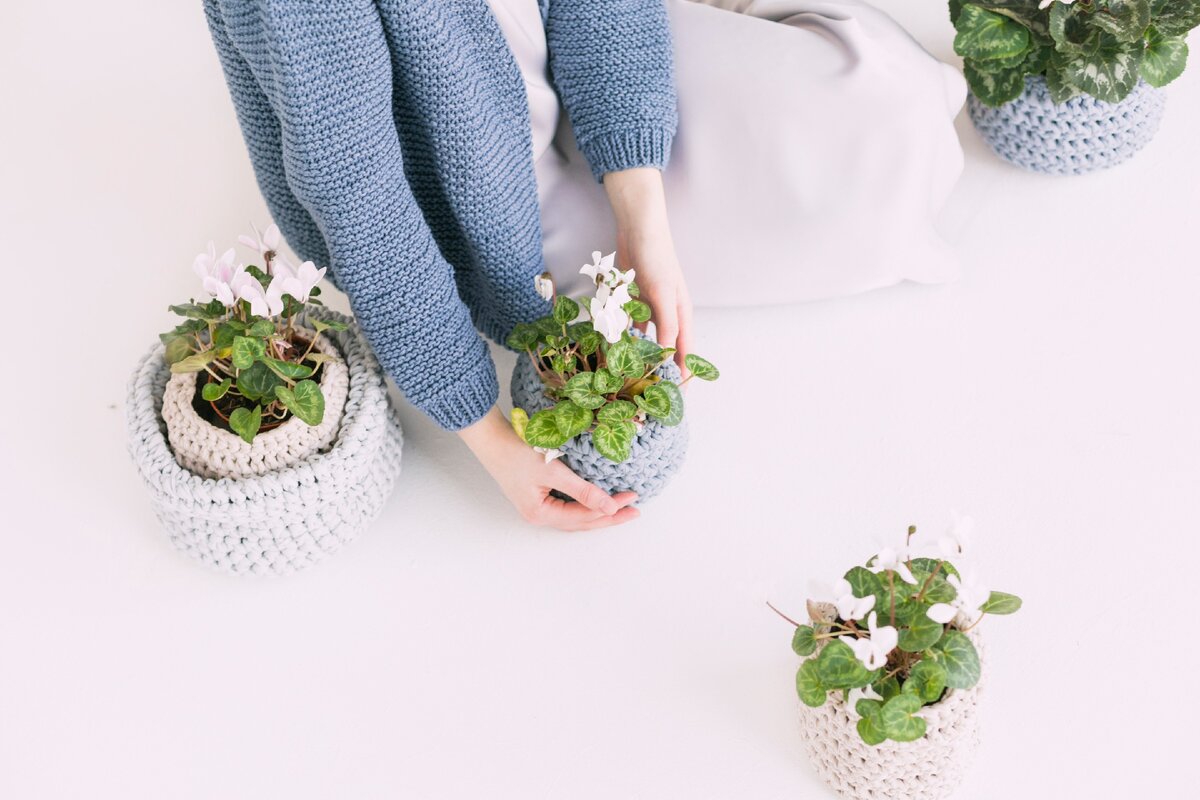 Источник: https://www.pexels.com/ru-ru/photo/709785/