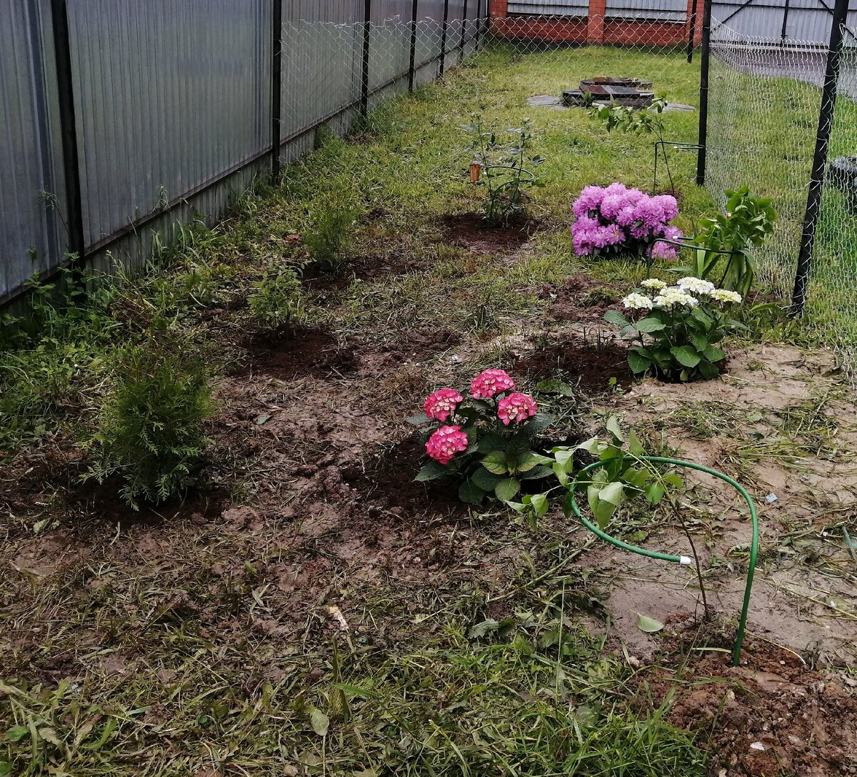 Моя фотография