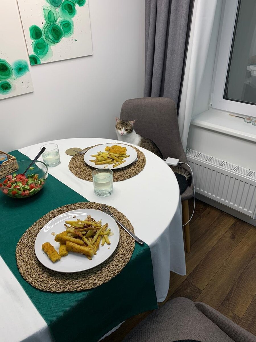 Хорошее питание - залог здоровья и для людей, и для животных. На фото наш выпускник - Рон