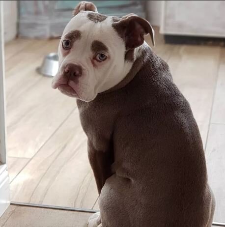 фото из свободных источников