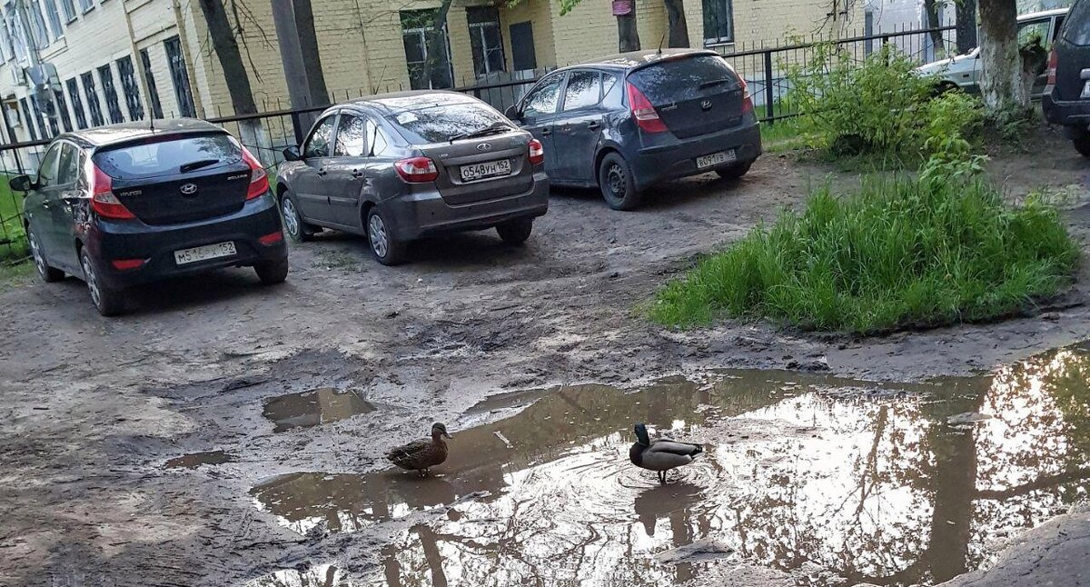 Фото: © сетевое издание «Столица Нижний»