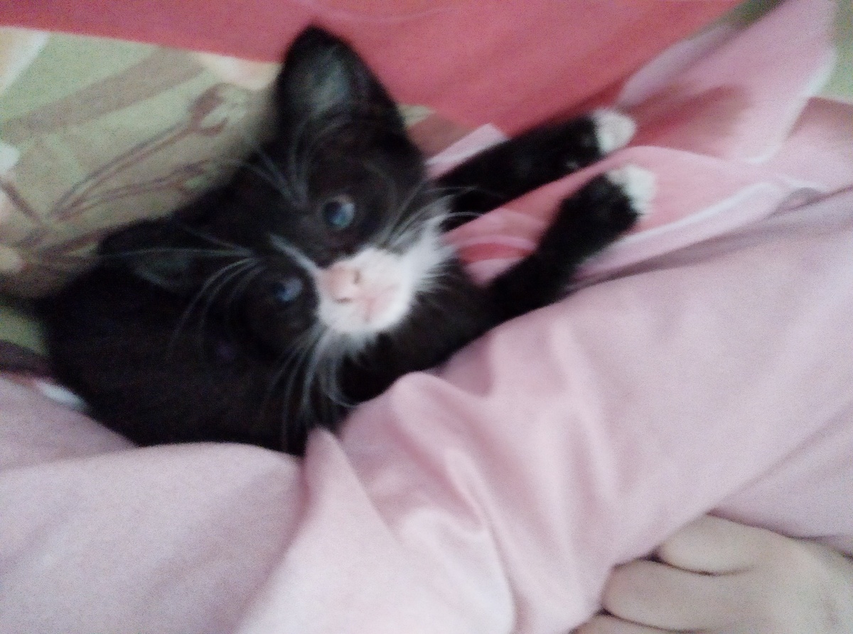 Первый день дома