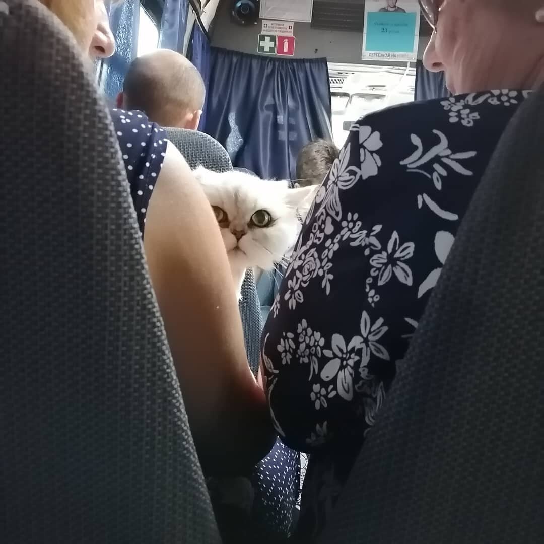 "а что вы тут делаете а?