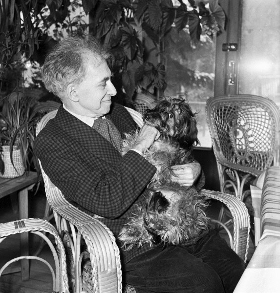 Переделкино: тайная страсть Ильи Эренбурга, или за чем советский писатель специально летал в Голландию