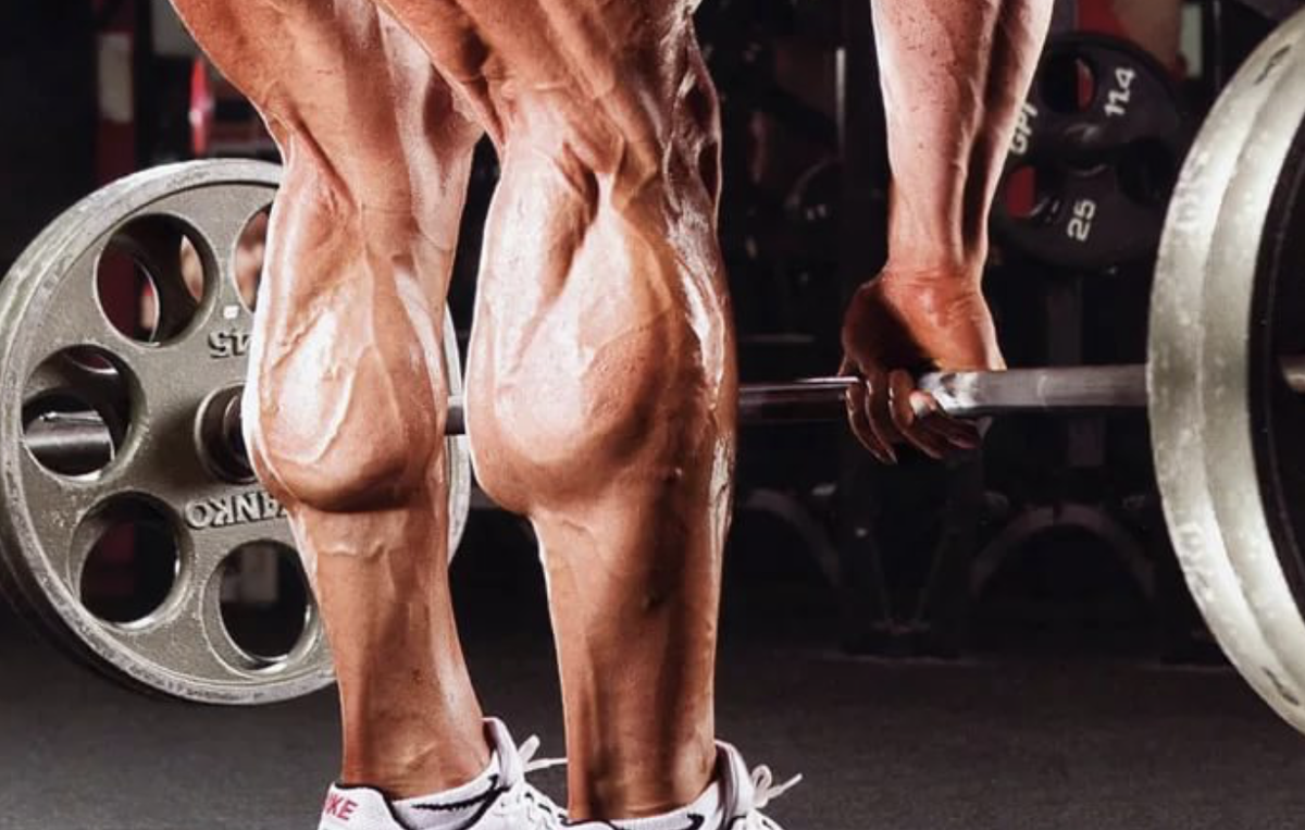 Как качать икры