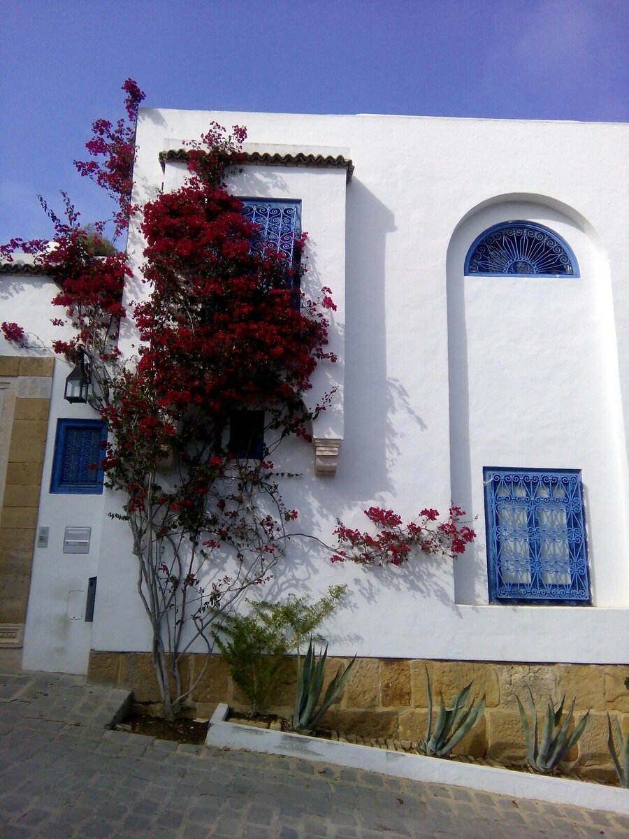 Фото автора. Тунис Сиди-бу-Саид