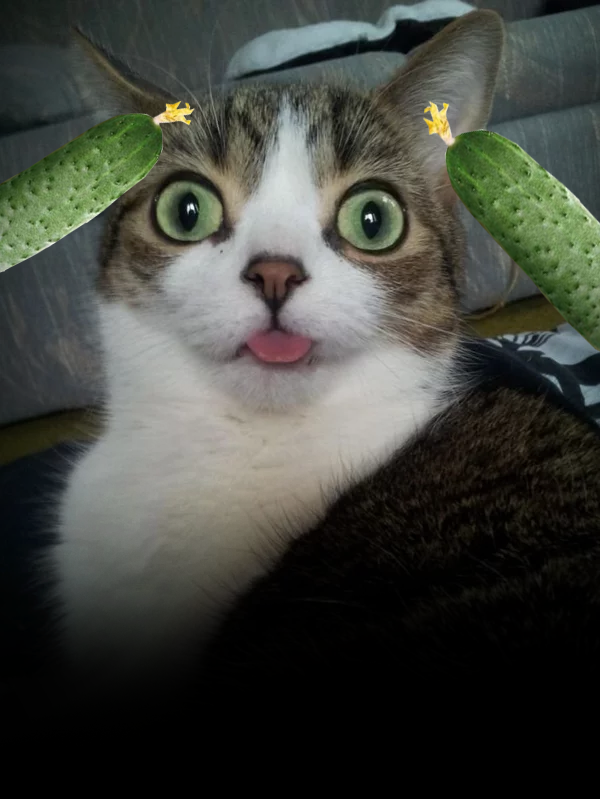 источник: google картинки.