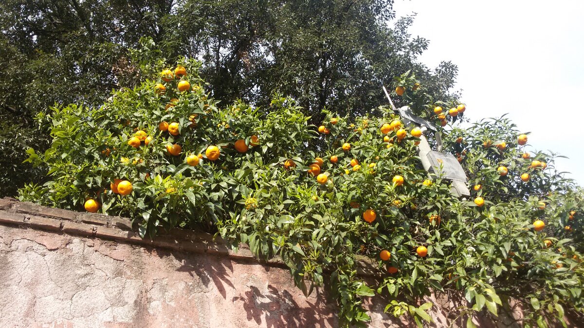 На дворе 1 апреля