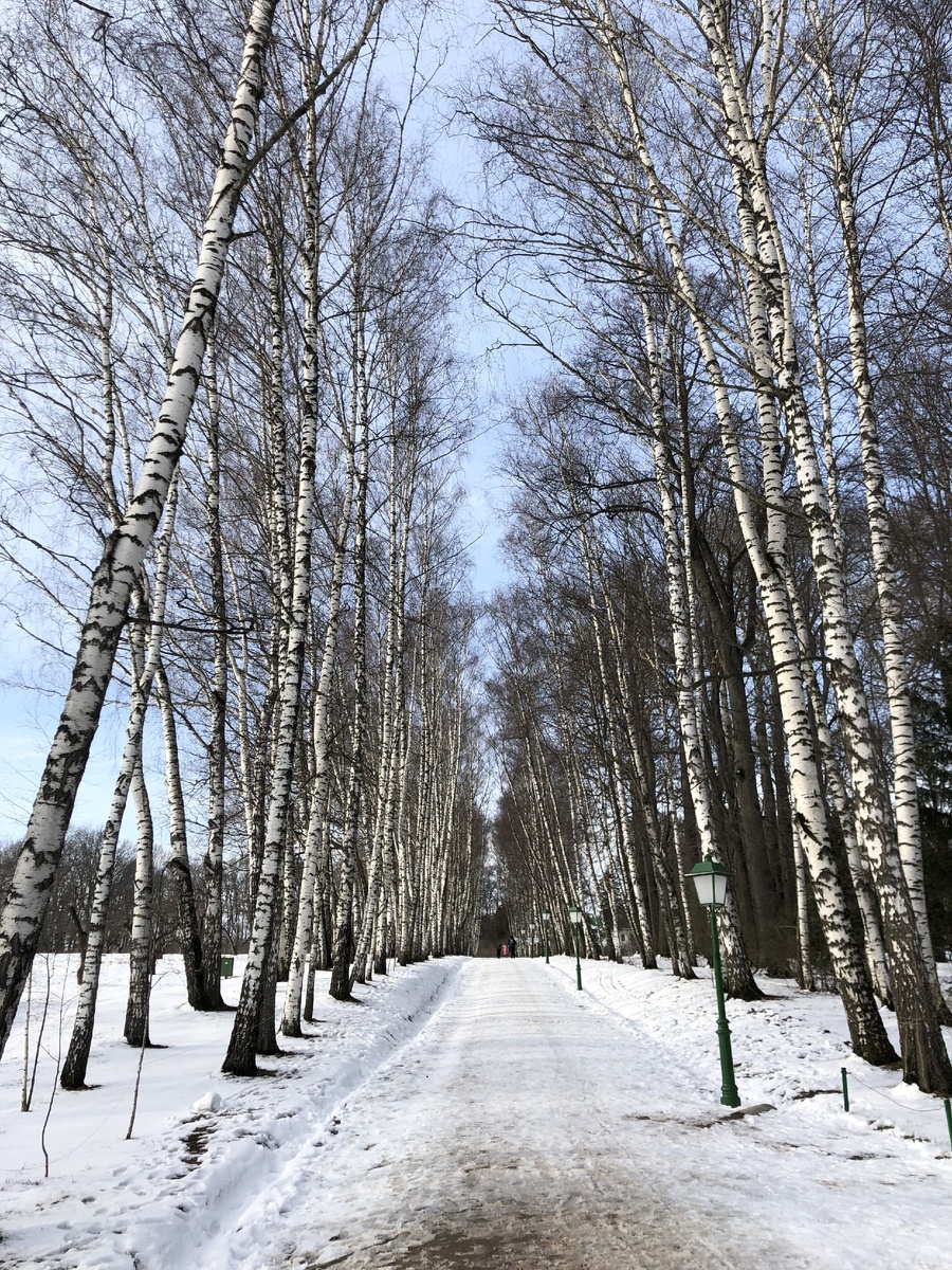 "Прешпект" (февраль, 2020)