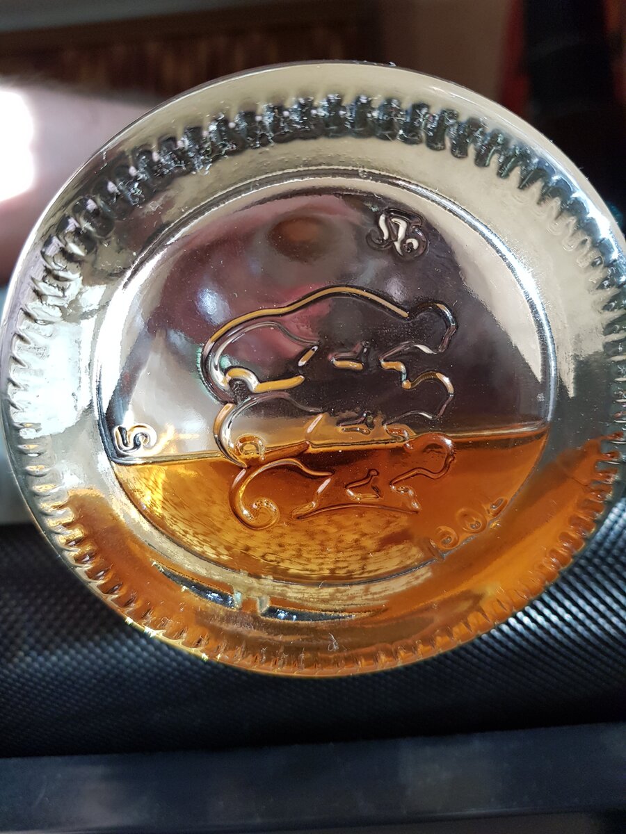 Дно бутылки