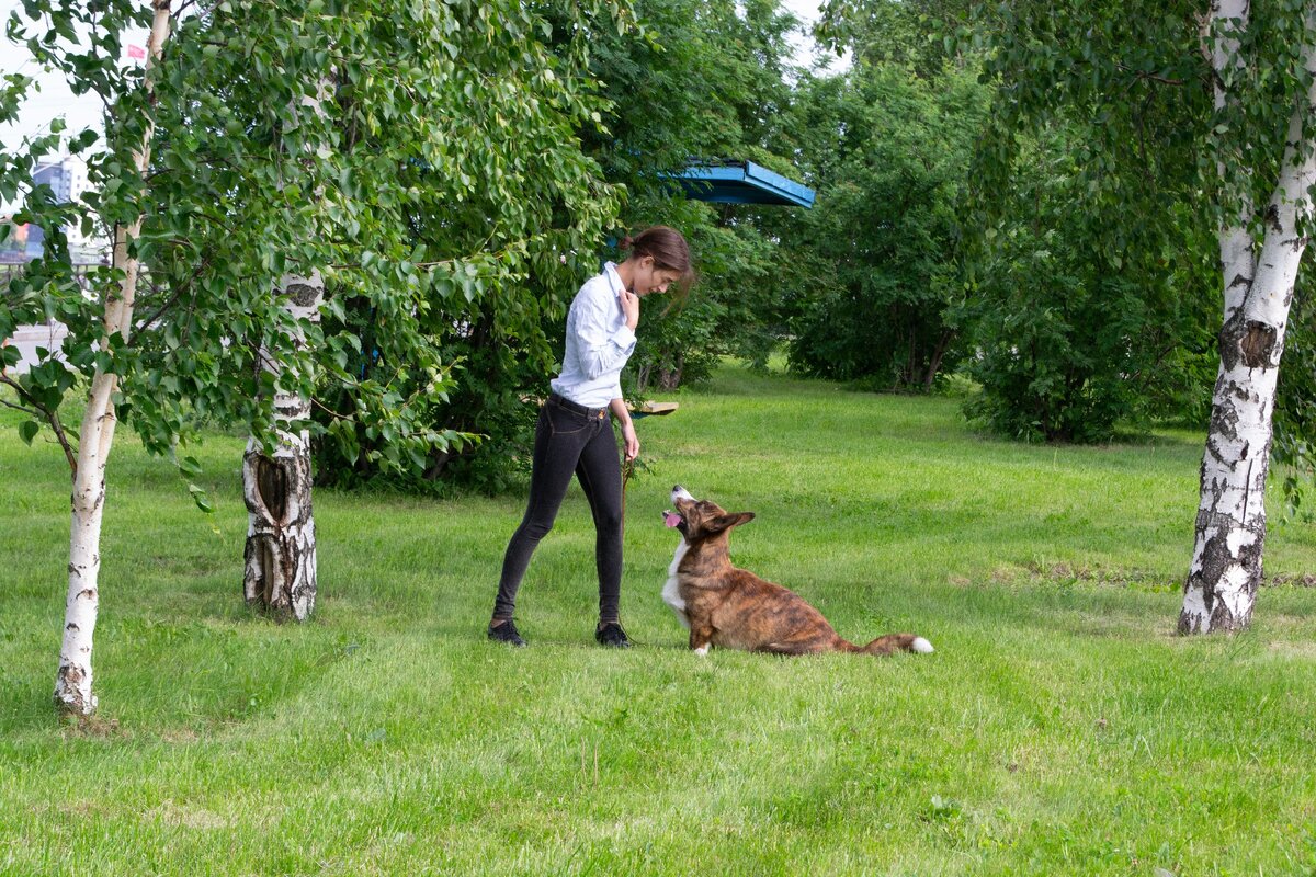 Джа проникновенно смотрит в глаазки