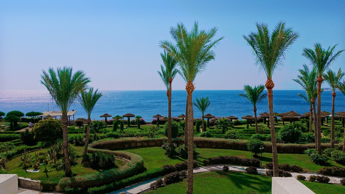 Красное море
