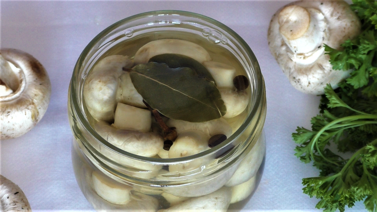 Грибы шампиньоны маринованные в домашних условиях быстрого приготовления рецепт с фото пошагово