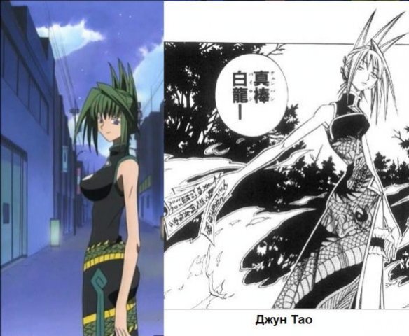 Джун Тао в аниме и манге.