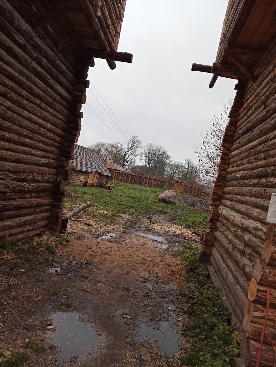 Путешествие в Дукоры. Чем занять 2 взрослых и одного ребенка в закрытом, до  весны, музейном комплексе. | Дорога-мой дом | Дзен