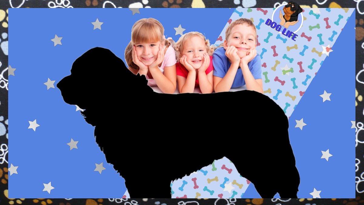 Подпишитесь на канал - будет интересно!