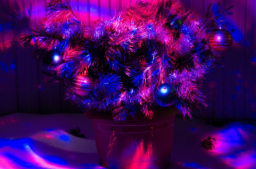 Ночью такая композиция выглядит очень нарядно и эффектно.