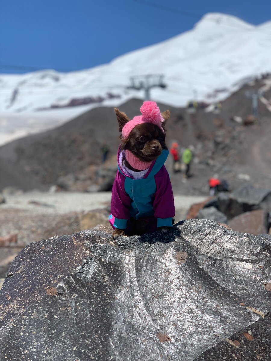 Туся на Эльбрусе)