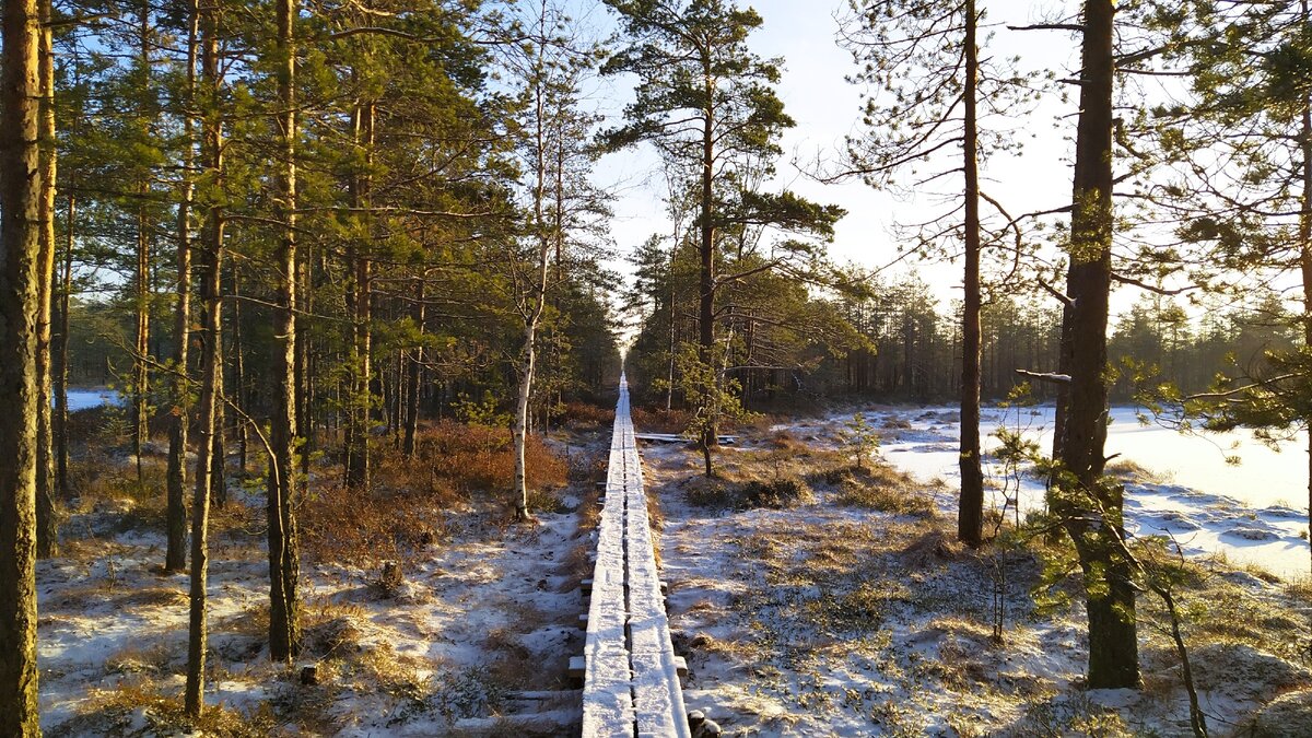 А так она выглядит с земли. Это участок тропы на узком перешейке между озёрами ➡